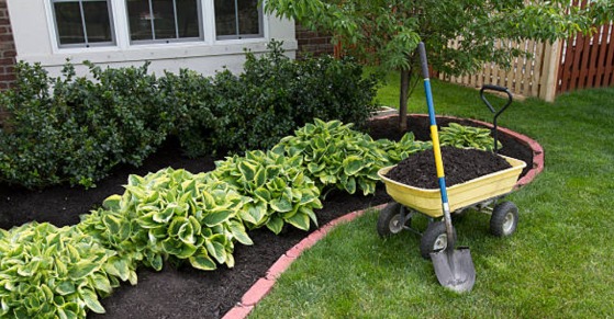 Gardening & Landscaping